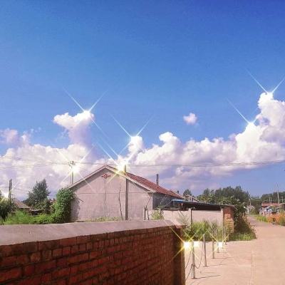 战斗吧龙魂九游版下载