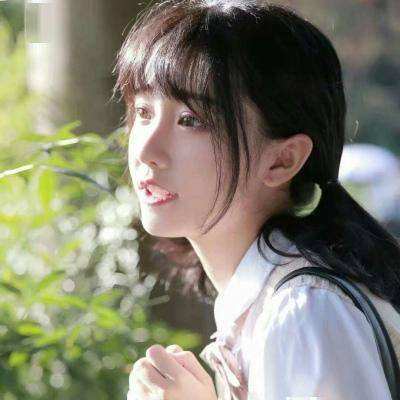口袋召唤师内购破解版下载